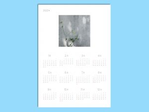 一輪の花カレンダー1