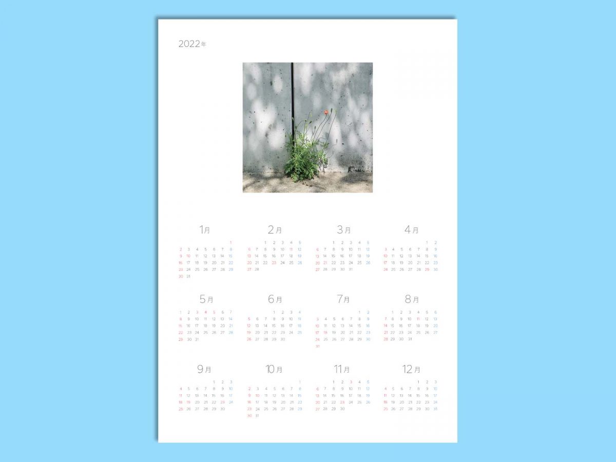 一輪の花カレンダー2